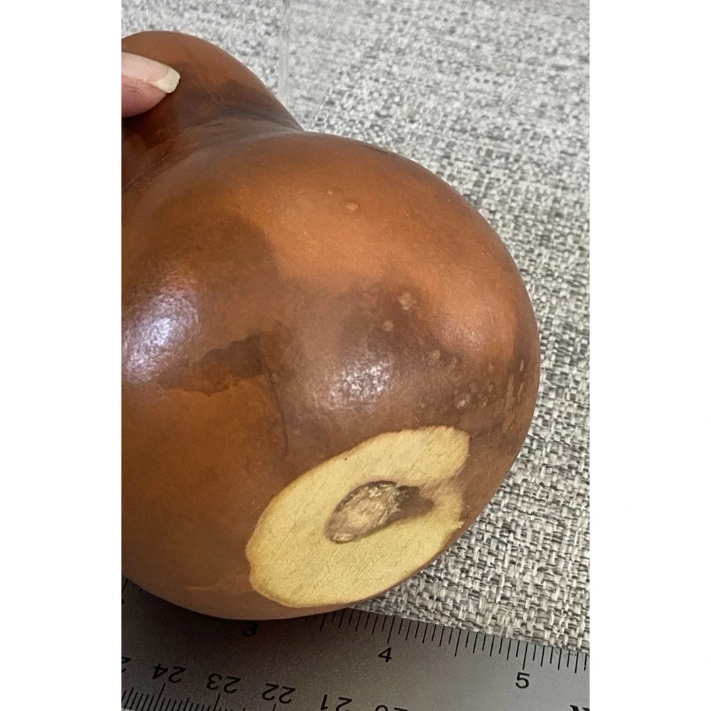 Handcrafted Decorative Pear Gourd • Natural Dried Gourd Art • Rustic Farmhouse D